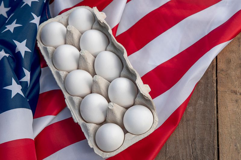 nuovo modello alimentare USA 2025-2030